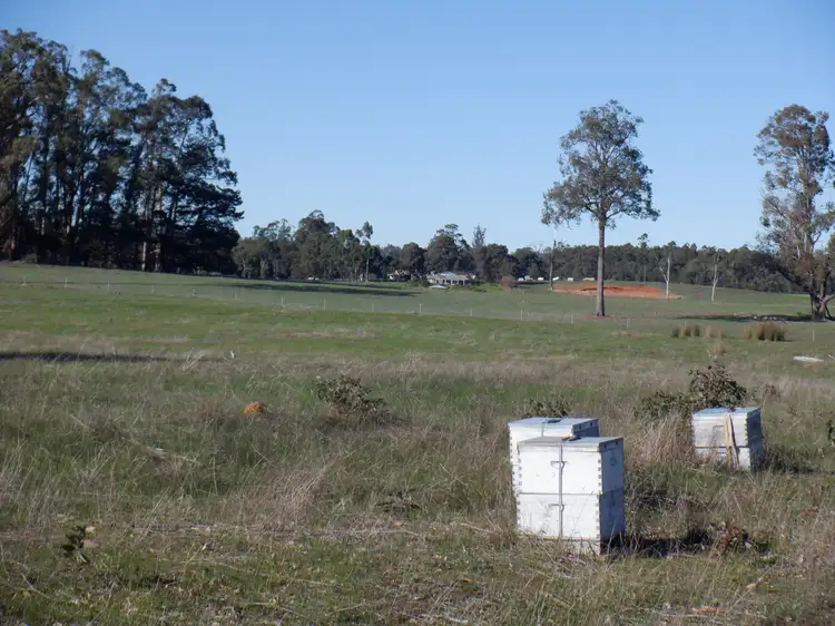 Second view of Homely rural property listing, Lot 9604 Ephraim Gully Road, Manjimup WA 6258