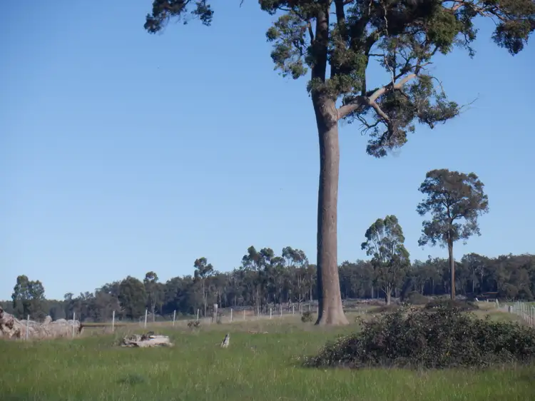 Third view of Homely rural property listing, Lot 9604 Ephraim Gully Road, Manjimup WA 6258
