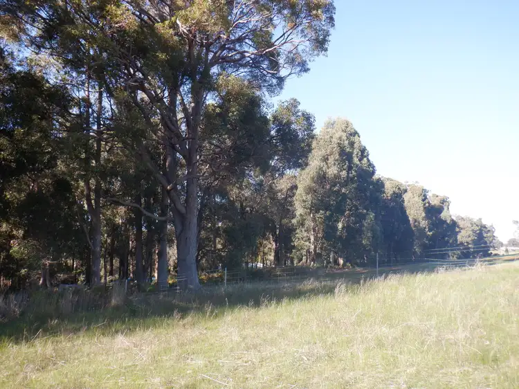 Fourth view of Homely rural property listing, Lot 9604 Ephraim Gully Road, Manjimup WA 6258