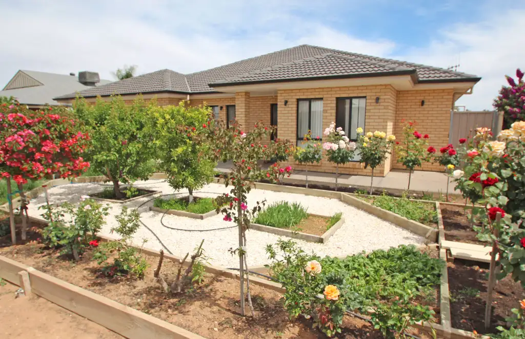 Main view of Homely house listing, 245 Twenty First Street, Renmark SA 5341