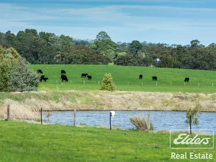 Main view of Homely rural property listing, 1395 Torrens Valley Road, Birdwood SA 5234