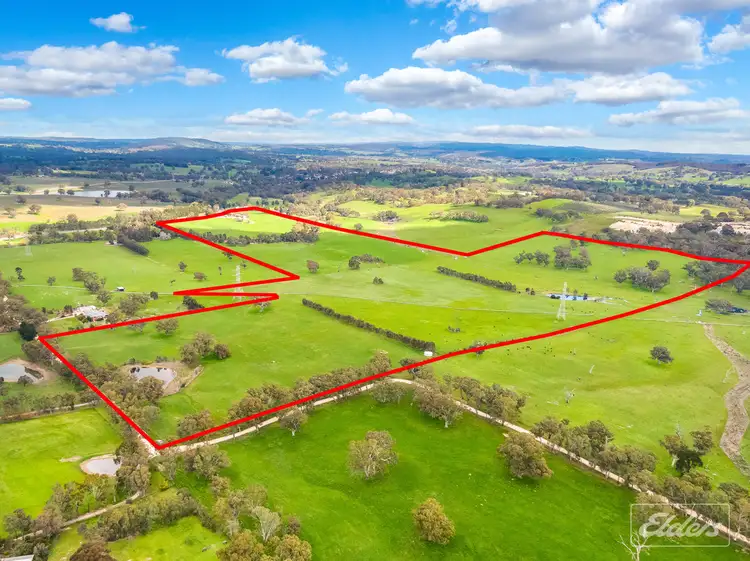 Second view of Homely rural property listing, 1395 Torrens Valley Road, Birdwood SA 5234