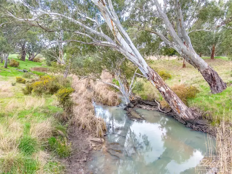 Sixth view of Homely rural property listing, 1395 Torrens Valley Road, Birdwood SA 5234