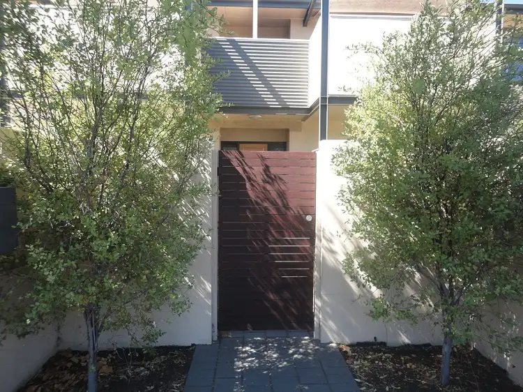 11/341 SIR DONALD BRADMAN DRIVE