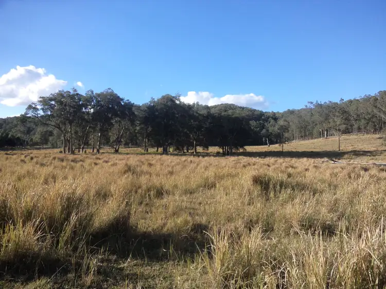 Third view of Homely rural property listing, Lots 22 & 50 Upper Fineflower Road, Upper Fine Flower NSW 2460