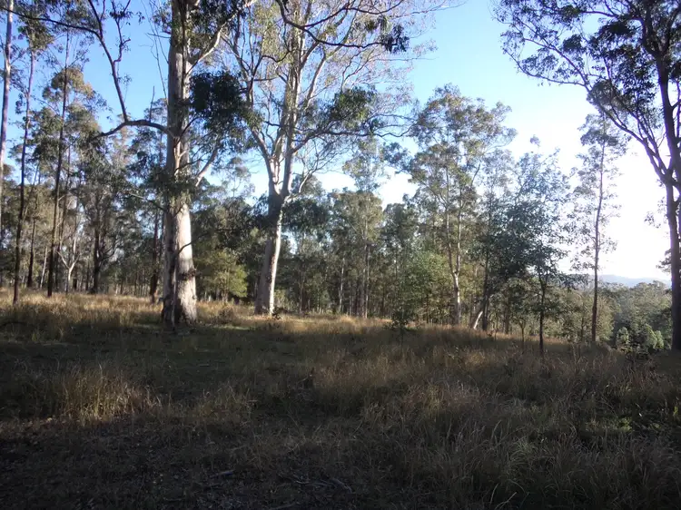 Fourth view of Homely rural property listing, Lots 22 & 50 Upper Fineflower Road, Upper Fine Flower NSW 2460