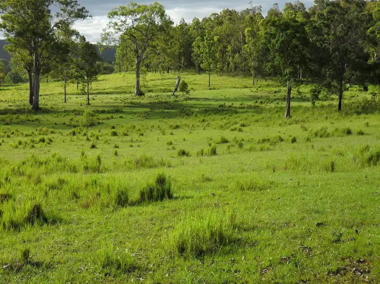 Seventh view of Homely rural property listing, Lots 22 & 50 Upper Fineflower Road, Upper Fine Flower NSW 2460