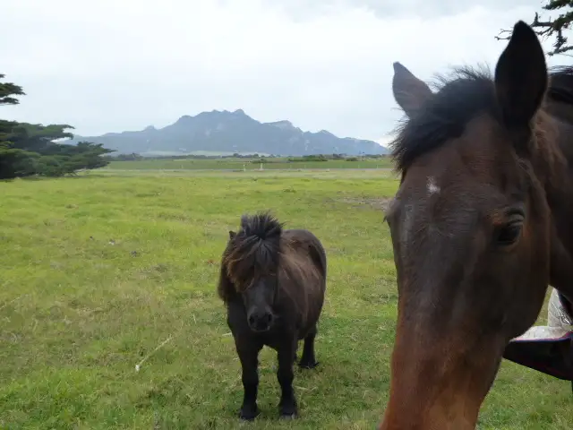 Main view of Homely land listing, PID 6427822 Lady Barron Road, Whitemark TAS 7255