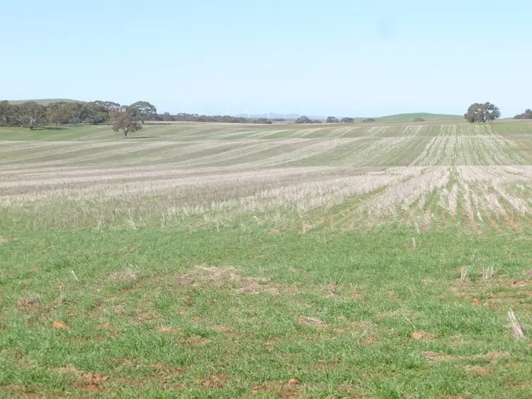 - 'Wirrawilla', Jamestown SA 5491