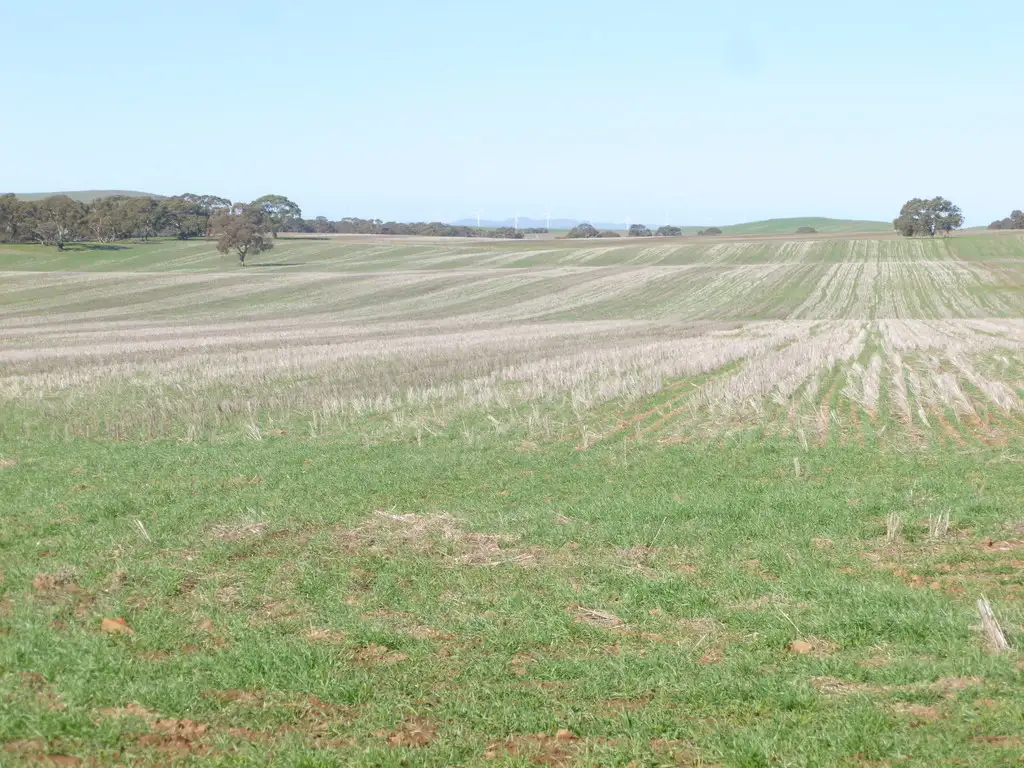 Main view of Homely rural property listing, - 'Wirrawilla', Jamestown SA 5491