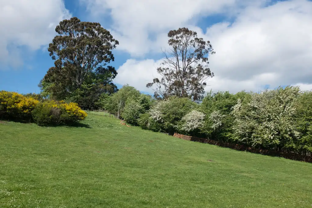 Main view of Homely land listing, 4 Tower Hill Street, Deloraine TAS 7304