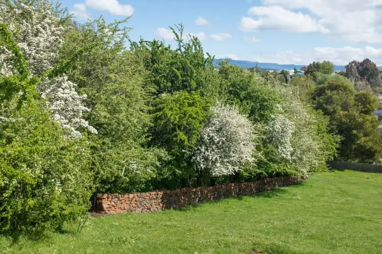 Third view of Homely land listing, 4 Tower Hill Street, Deloraine TAS 7304