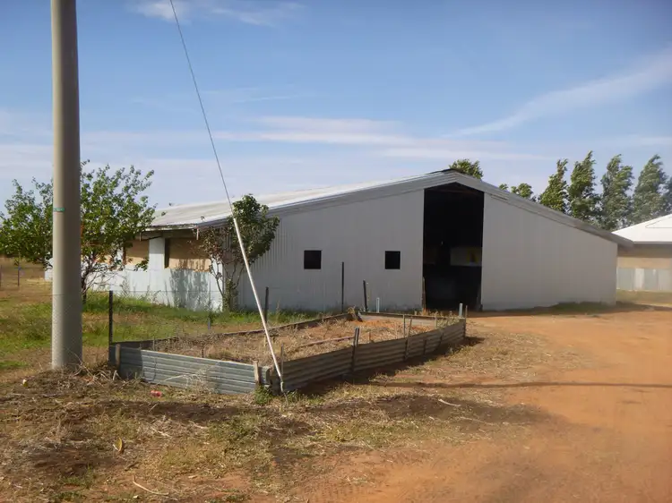 Second view of Homely rural property listing, 20 Nolan Road, Stanbridge NSW 2705