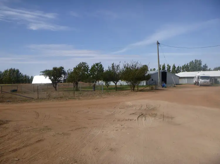 Fifth view of Homely rural property listing, 20 Nolan Road, Stanbridge NSW 2705