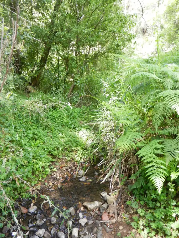 Main view of Homely land listing, Lot 4 Brewsters Road, Yinnar South VIC 3869