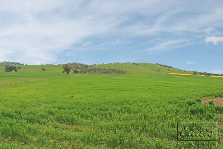 Fifth view of Homely rural property listing, 0 Hagans Lane, Toolleen VIC 3551