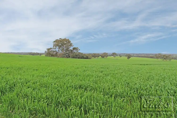 Seventh view of Homely rural property listing, 0 Hagans Lane, Toolleen VIC 3551