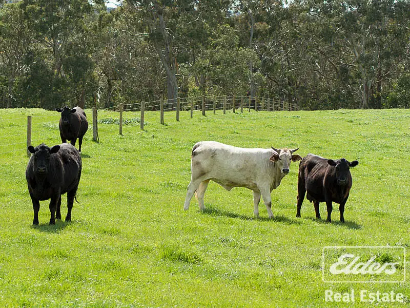 Main view of Homely rural property listing, 130 Greenhills-Flaxley Road, Macclesfield SA 5153