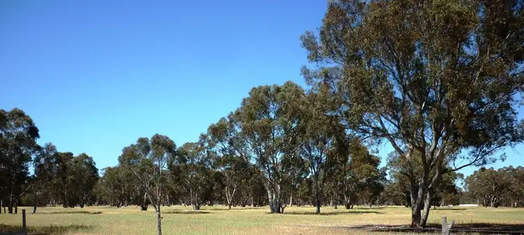 Third view of Homely rural property listing, Lot 7339 Mission Road, Kojonup WA 6395