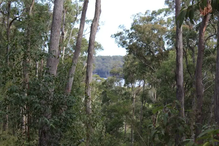 Lot 19 Old Nelligen Road, Nelligen NSW 2536