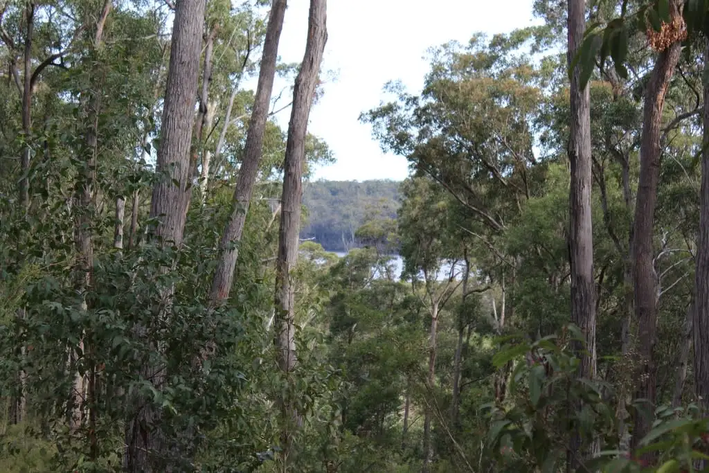 Main view of Homely land listing, Lot 19 Old Nelligen Road, Nelligen NSW 2536