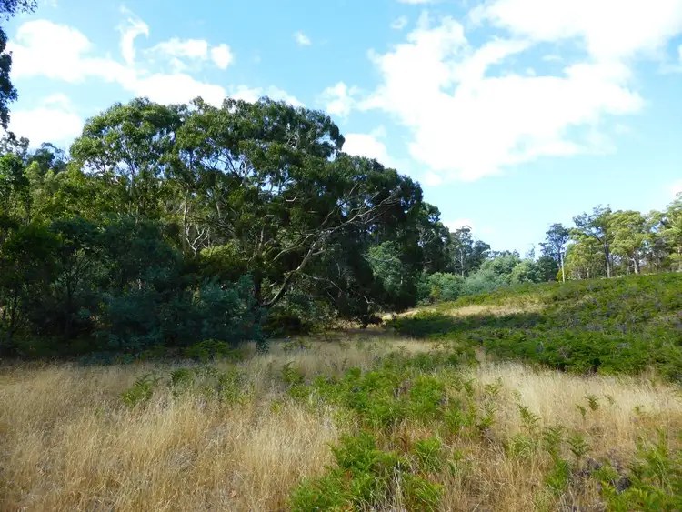 Fourth view of Homely land listing, Lot 19 Hungry Flats Road, Colebrook TAS 7027