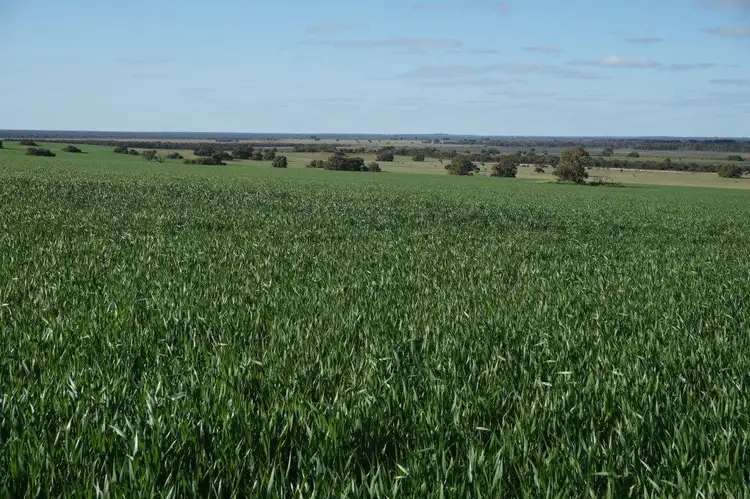 Second view of Homely rural property listing, 2905 Coomberdale West Road, Dandaragan WA 6507