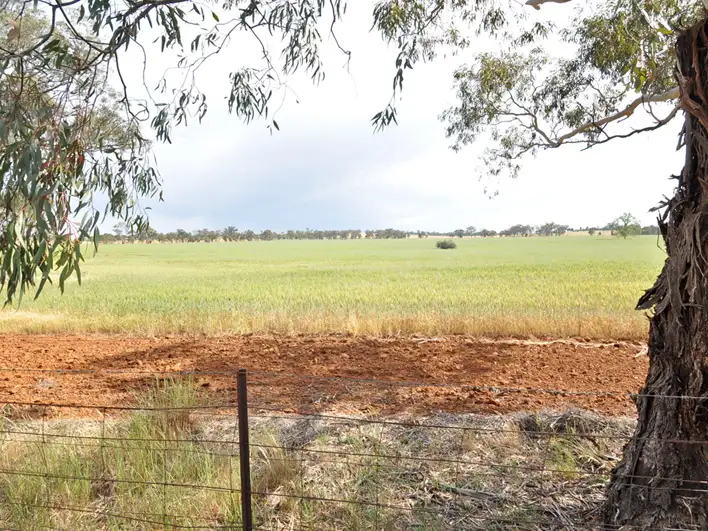 Main view of Homely land listing, Lot 196 Broad Street, Old Junee NSW 2652
