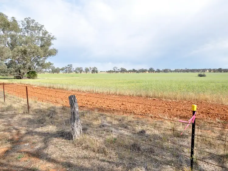 Second view of Homely land listing, Lot 196 Broad Street, Old Junee NSW 2652