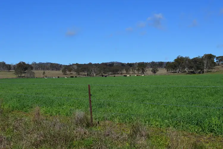 Sixth view of Homely rural property listing, Address available on request