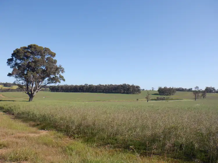 Main view of Homely rural property listing, 561 Mokerdillup Road, Bridgetown WA 6255