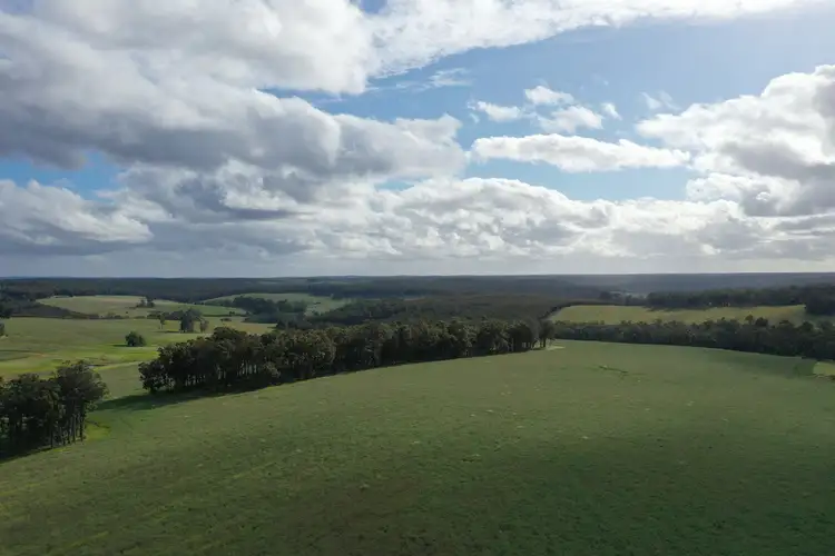 Third view of Homely rural property listing, 561 Mokerdillup Road, Bridgetown WA 6255