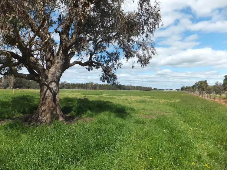 Lot 30 Homebush Road, Yarloop WA 6218