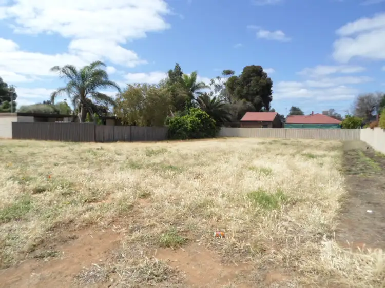 Fifth view of Homely land listing, 246 Bromley Road, Robinvale VIC 3549