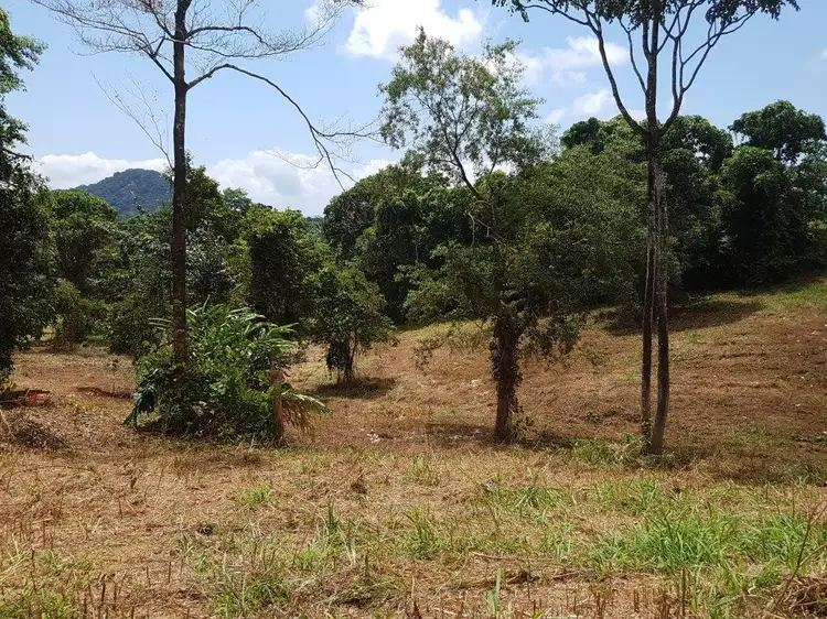 Fourth view of Homely land listing, 17 Ironbark Road Diwan, Daintree QLD 4873