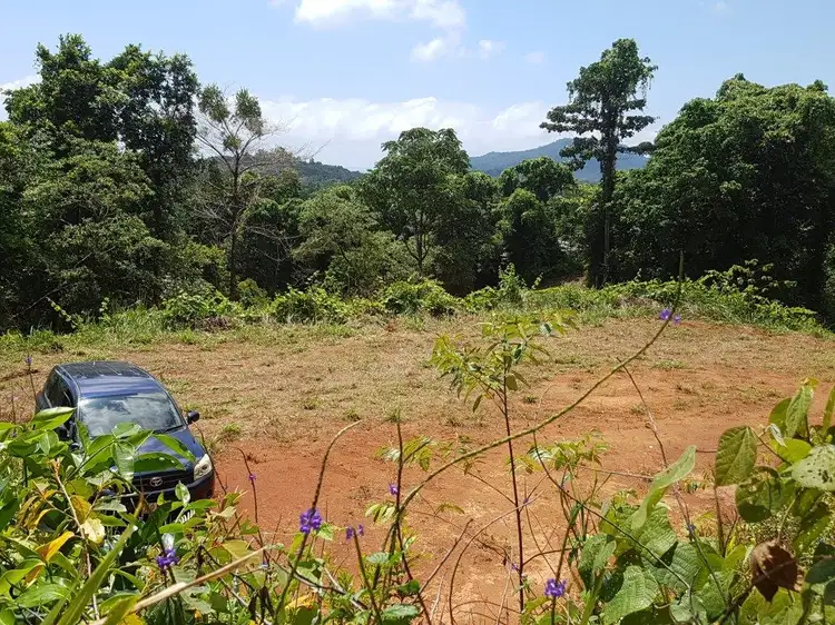 Fifth view of Homely land listing, 17 Ironbark Road Diwan, Daintree QLD 4873