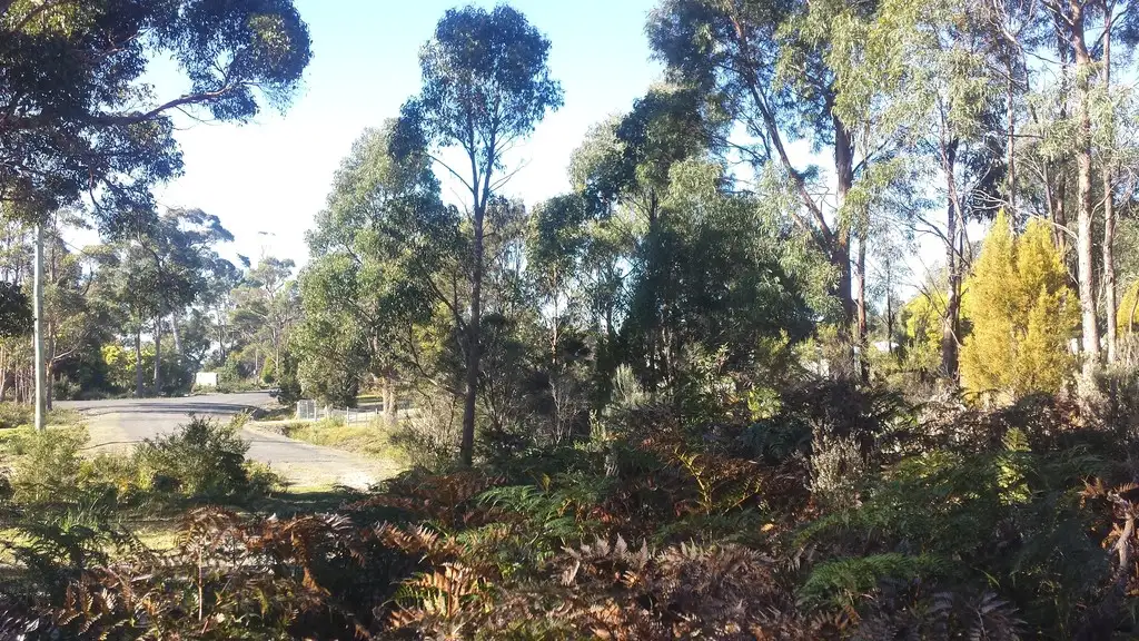 Main view of Homely land listing, 48 Skeggs Avenue, White Beach TAS 7184