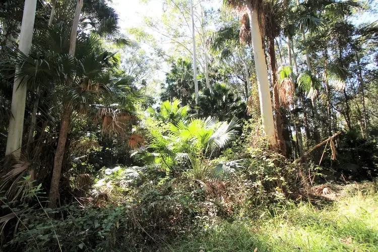 Seventh view of Homely rural property listing, 50 Thomas Road, Whoota NSW 2428