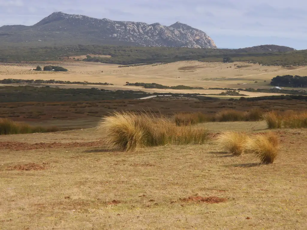 Main view of Homely land listing, PID 1859992 North East River Road, Palana TAS 7255