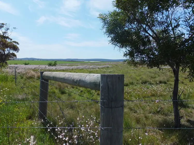 Main view of Homely rural property listing, Lot 136 South Coast Hwy, Ravensthorpe WA 6346