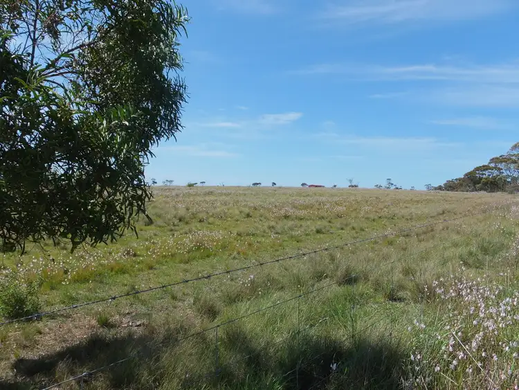 Second view of Homely rural property listing, Lot 136 South Coast Hwy, Ravensthorpe WA 6346