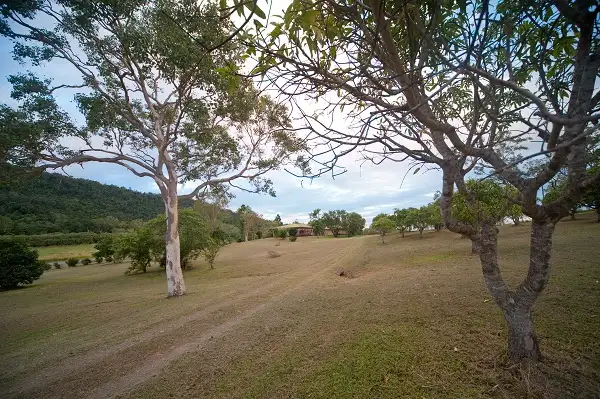 Second view of Homely house listing, 13421 Bruce Highway, Proserpine QLD 4800