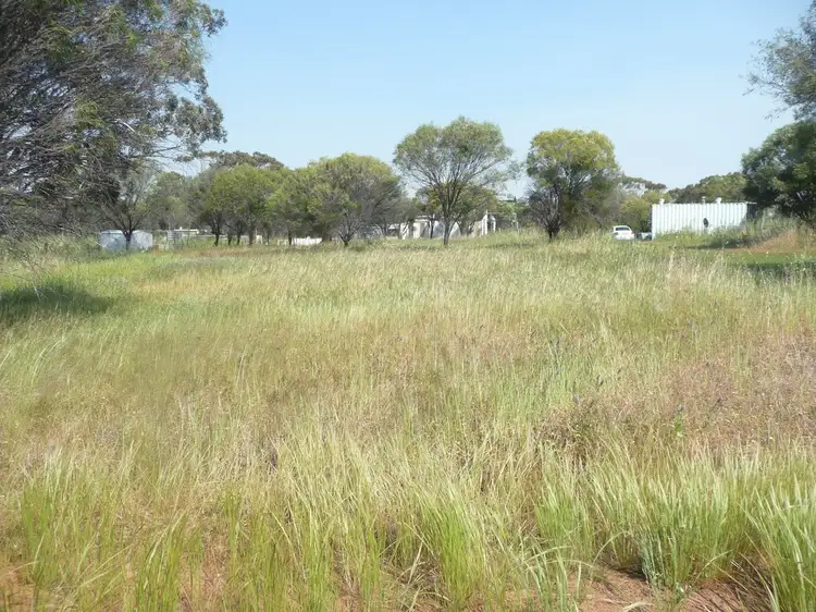 Lot 122 Scott Street, Mount Hardey WA 6302