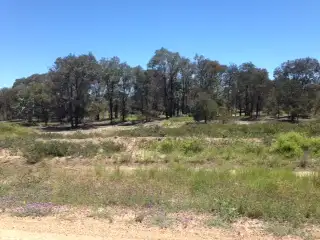 LOT 13 TULLAGRIE ROAD, Tara QLD 4421