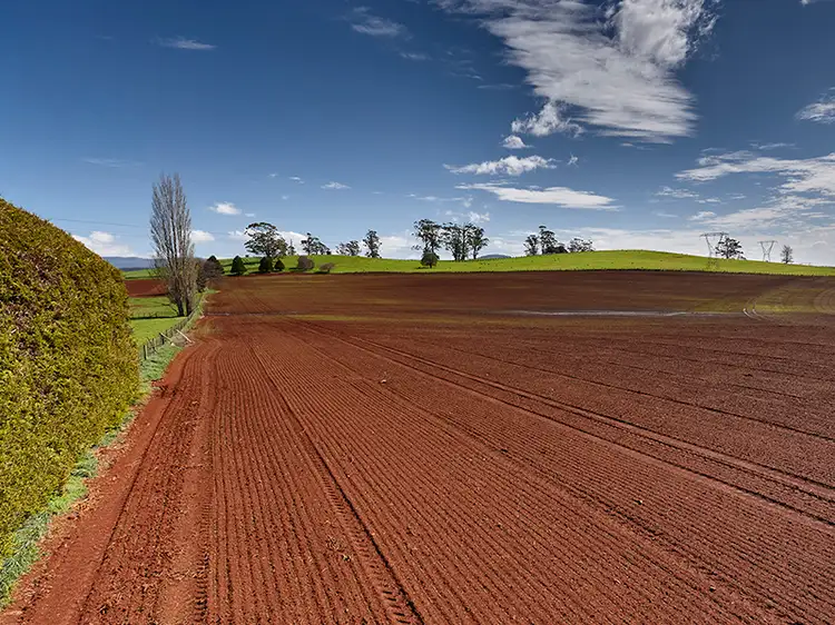 Main view of Homely rural property listing, Lot 1 Bass Highway, Deloraine TAS 7304