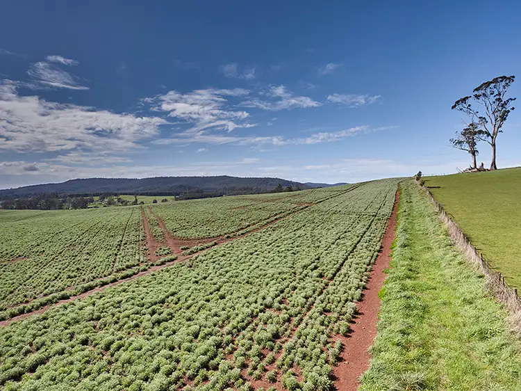 Second view of Homely rural property listing, Lot 1 Bass Highway, Deloraine TAS 7304