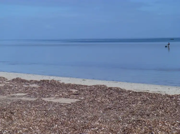 Third view of Homely land listing, Lot 148 Shearwater Way, Thompson Beach SA 5501