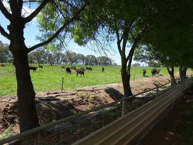 Fifth view of Homely rural property listing, 1797 Sinclair Road, Tongala VIC 3621