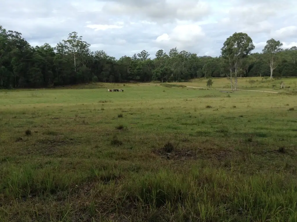 Main view of Homely rural property listing, Lot 53 Upper Fine Flower Rd, Upper Fine Flower NSW 2460