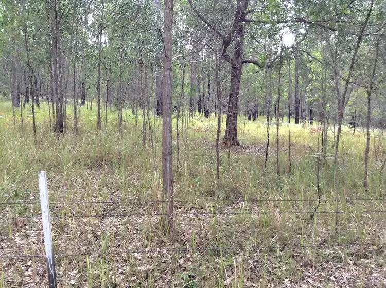 Second view of Homely rural property listing, Lot 53 Upper Fine Flower Rd, Upper Fine Flower NSW 2460